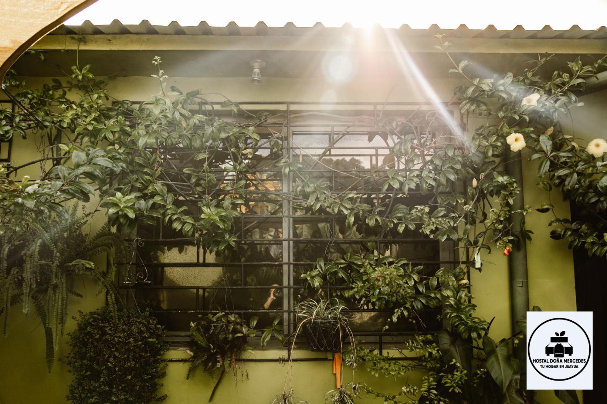 Hostal Dona Mercedes Juayua Exterior photo